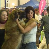 Salzburg Clubschau Mai 06 119 